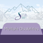 Multiple Disabilities
