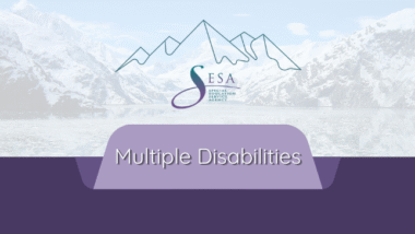 Multiple Disabilities