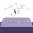Vision Impairment