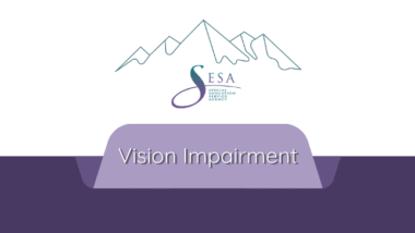 Vision Impairment