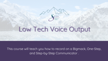 Low Tech Voice Output