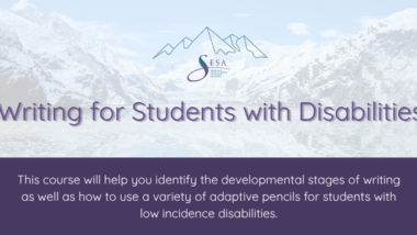 Writing for Students with Disabilities